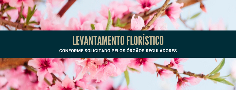 Levantamento Florstico